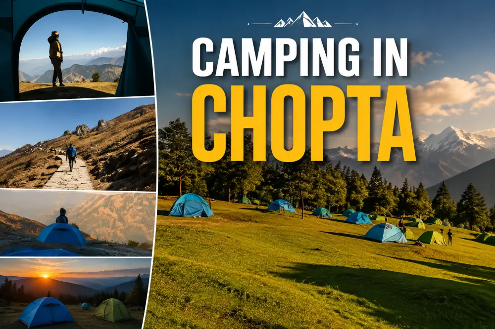 Camping in Chopta