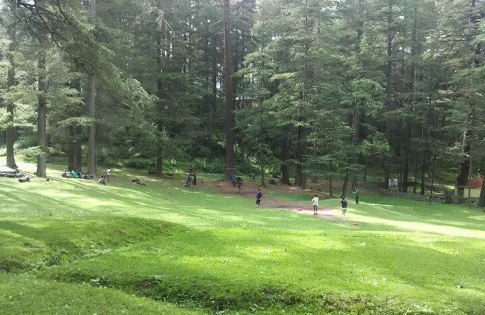 Chakrata With Dehradun 2 Nights