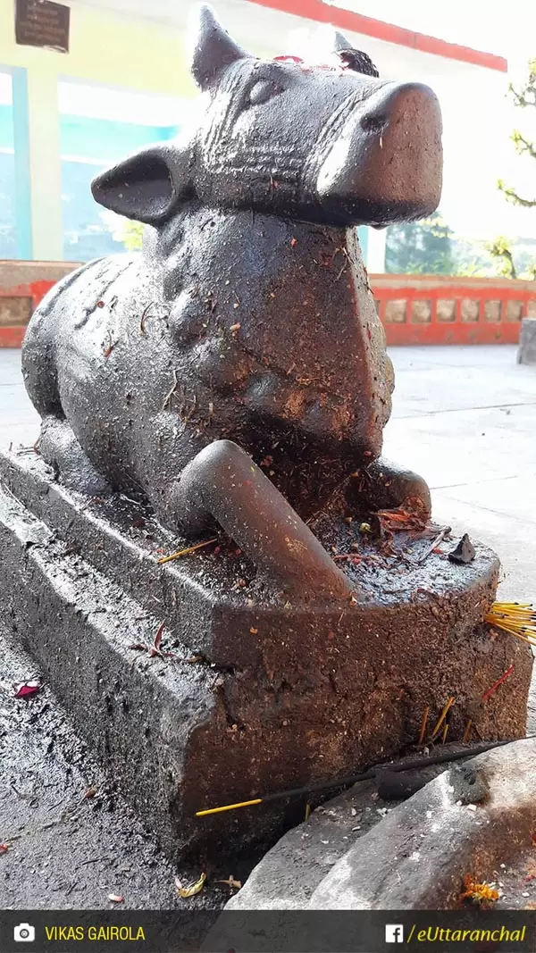 Nandi outside Chandika devi temple of simli karnprayag. Pic: Vikas Gairola/facebook