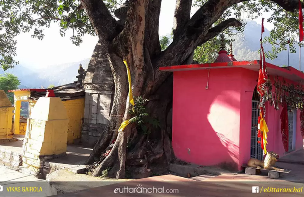 Chandika Devi temple of Simli, Karnaprayag.
माँ चंडिका मंदिर, सिमली, कर्णप्रयाग उत्तराखंड.. Pic: Vikas Gairola/facebook