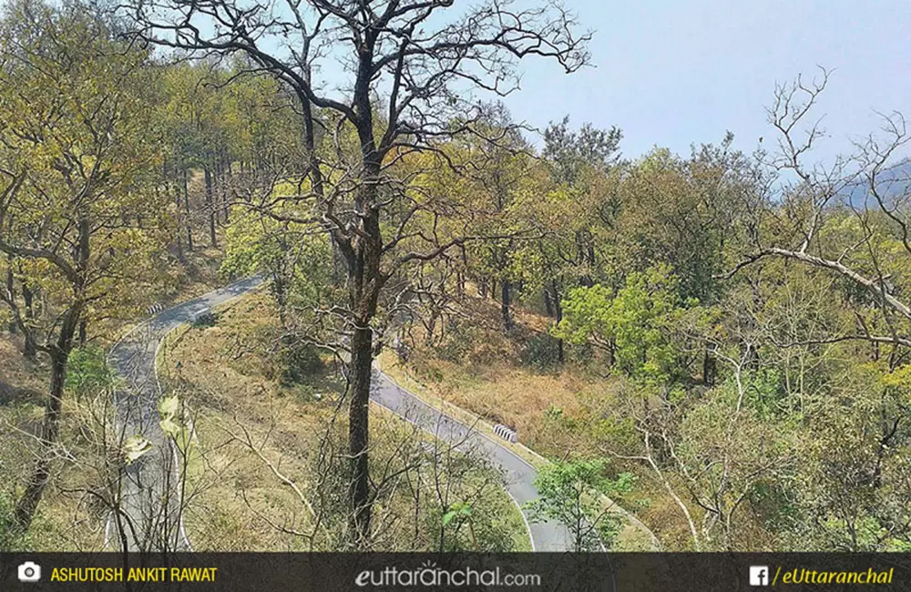 Road to charek. Pic: Ashutosh Ankit Rawat/facebook