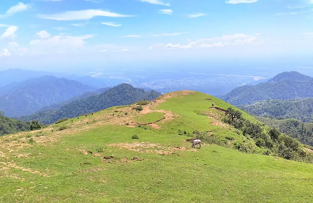 Kotdwar Valley view from Charekh Danda. Pic: Ashutosh Rawat