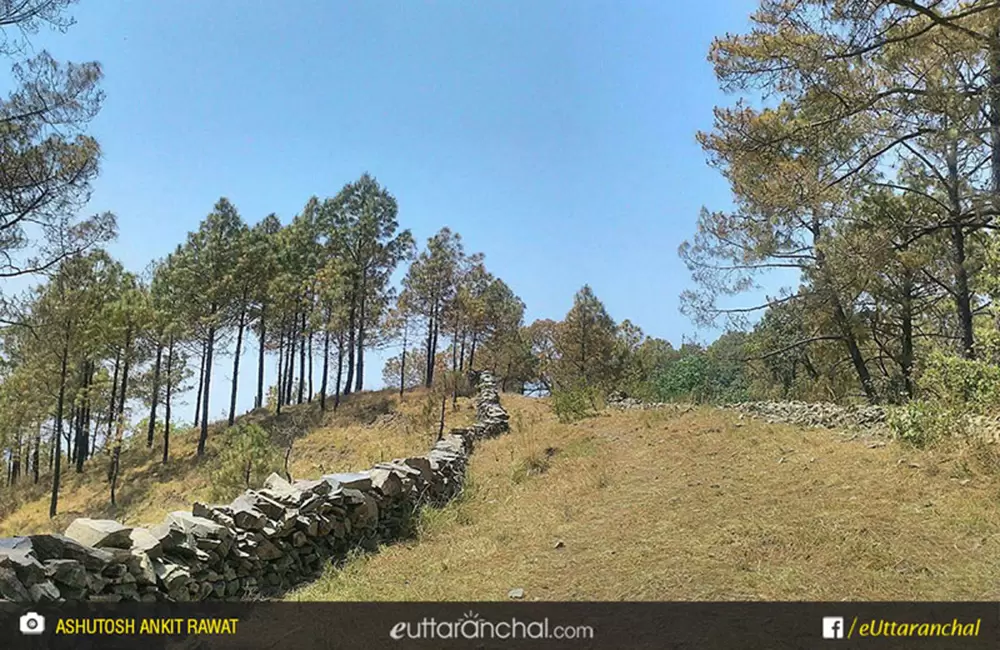 A mountain trail in charek kotdwara. Pic: Ashutosh Ankit Rawat/facebook