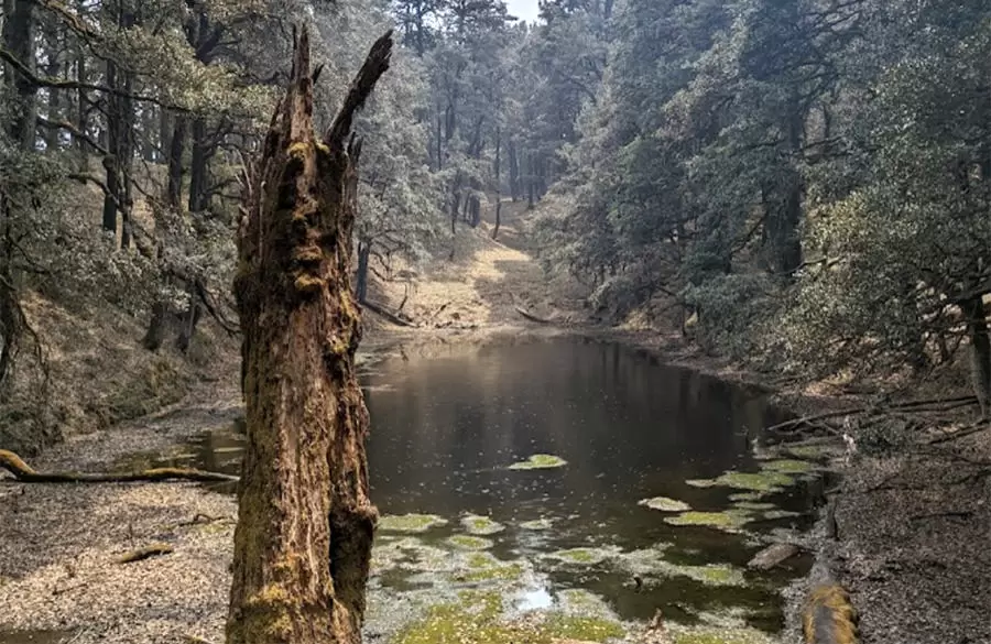 Chattra Kund Lake. Pic: Rohan Shah