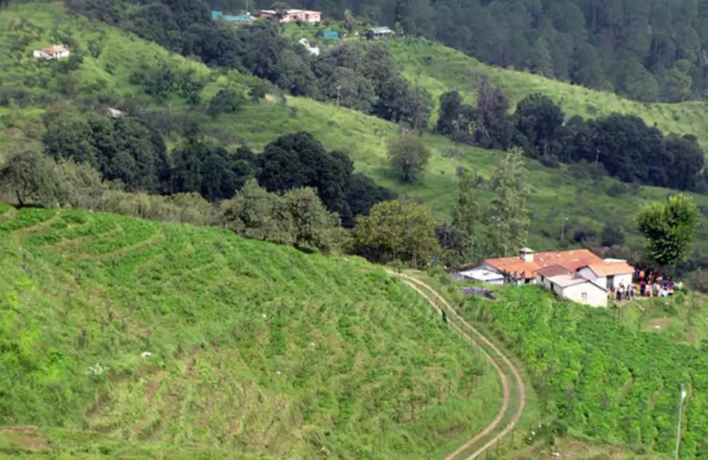 A scenic view of Chaubatia garden Ranikhet, Uttarakhand.. Pic: eUttaranchal.com