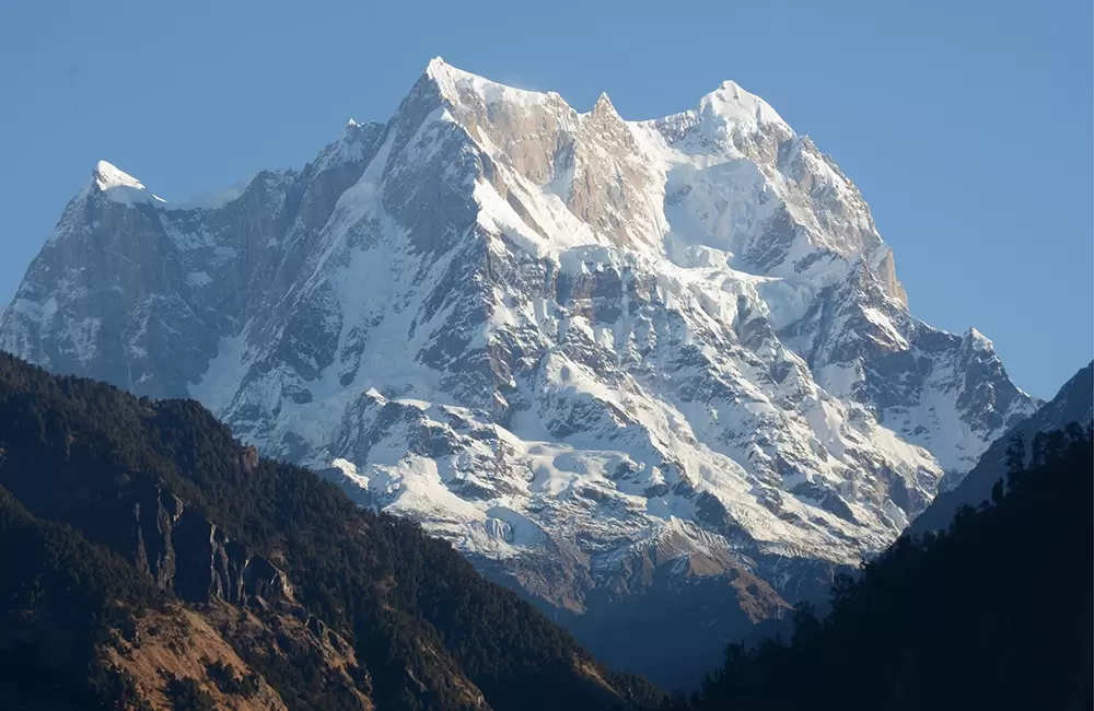 Chaukhamba Peak from Ransi Village. Pic: Chandra Shekhar Lingwal