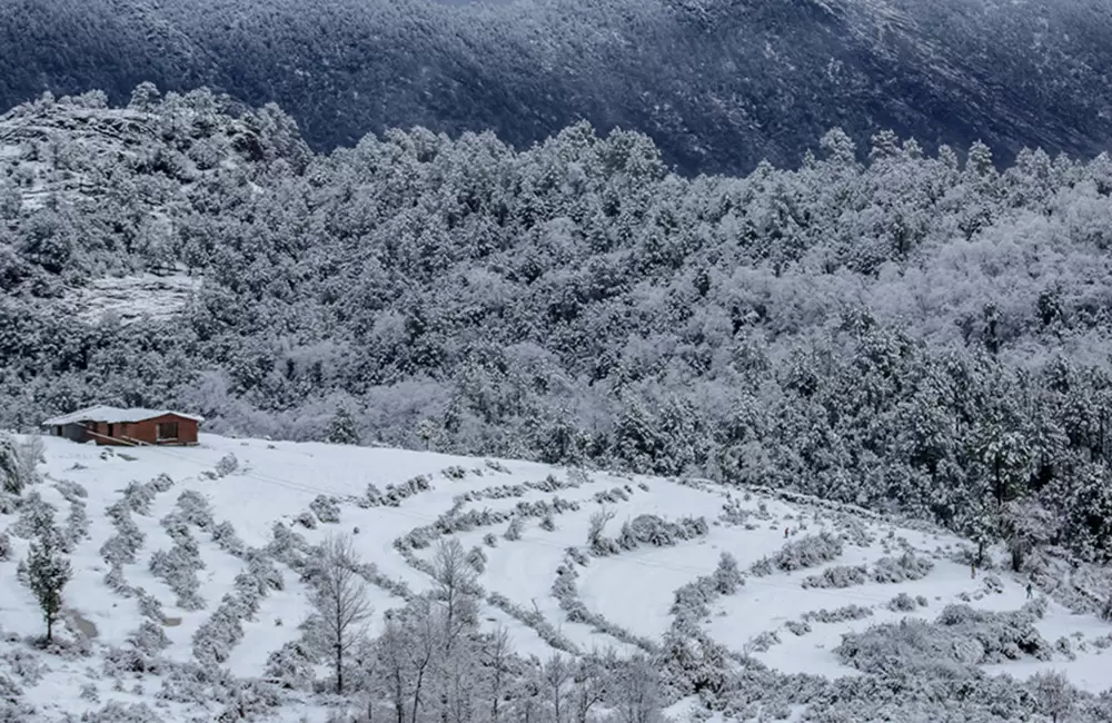 Mesmerising view of secluded house and snow capped fields in Chaukori in winters. Pic: Viivek Pant 