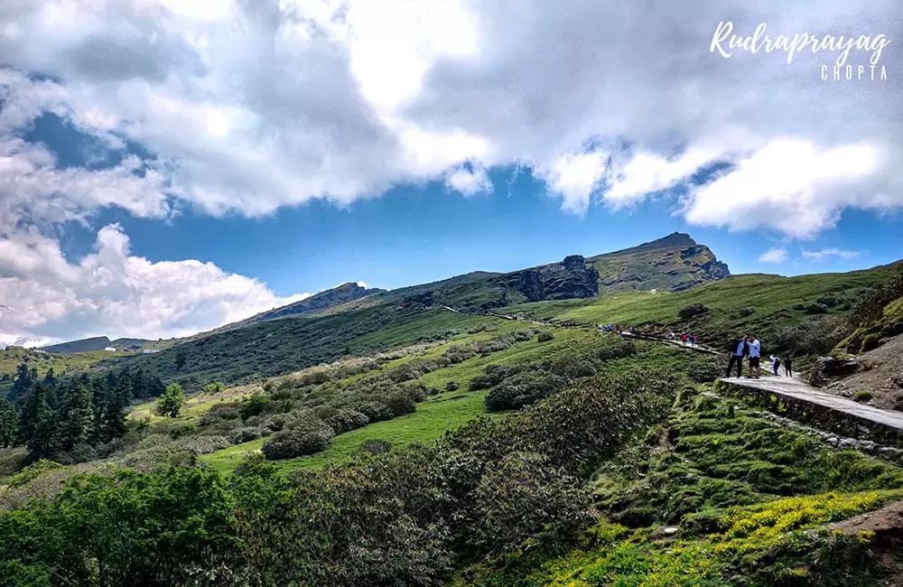 Chopta Tungnath Trek. Pic: Alok Bargali