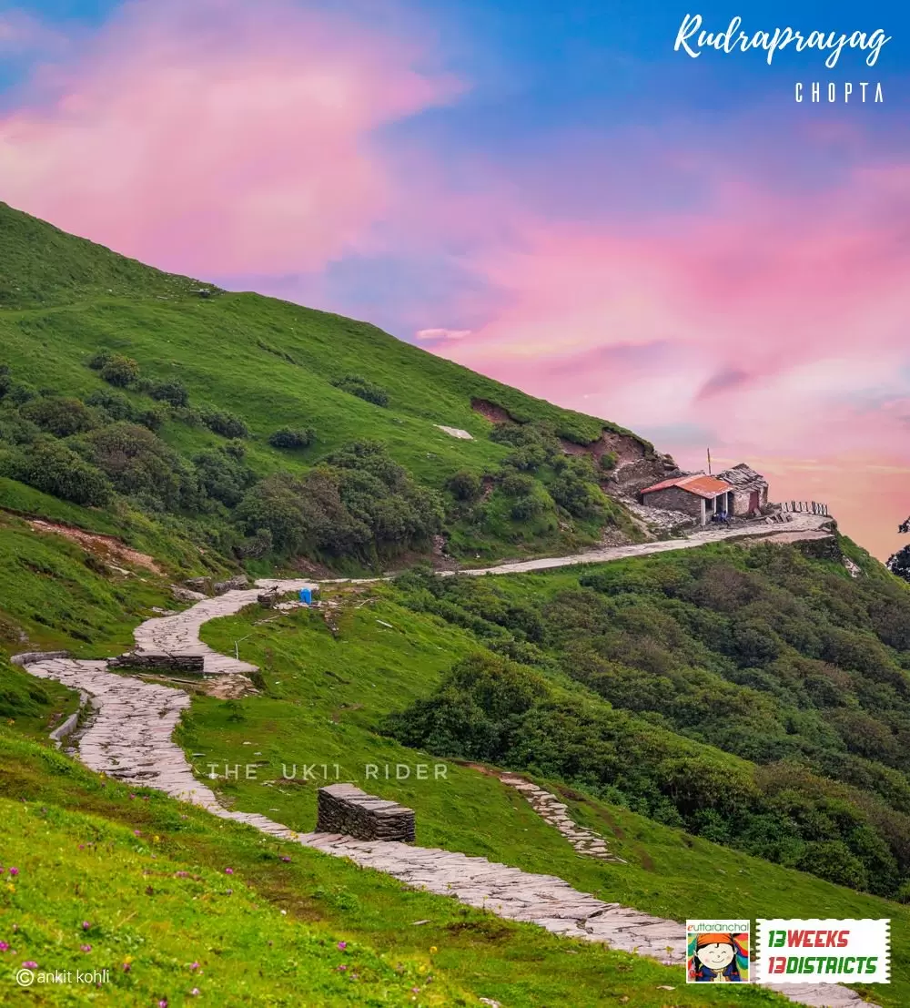 Trekking route in Chopta. Pic: Ankit Kohli