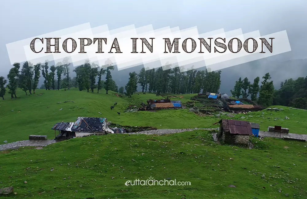 Chopta in Monsoons