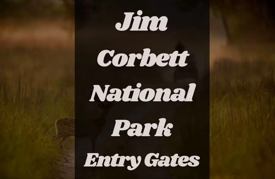 Jim Corbett National Park Entry Gates