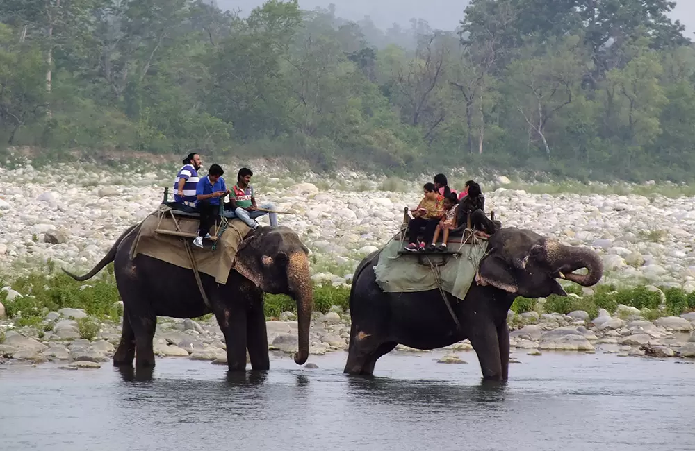 Mussoorie with Corbett 4 Nights ex-Delhi Package