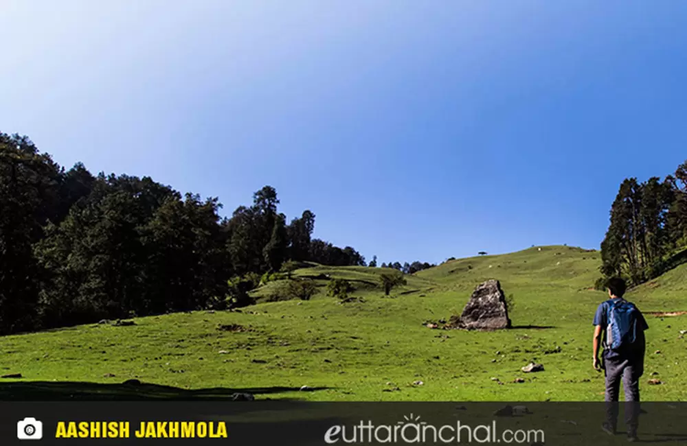 Green Meadows of Dayara Bugyal.. Pic: Aashish Jakhmola