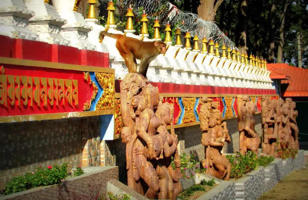 Dehradun 2 Nights Extended Tour Package