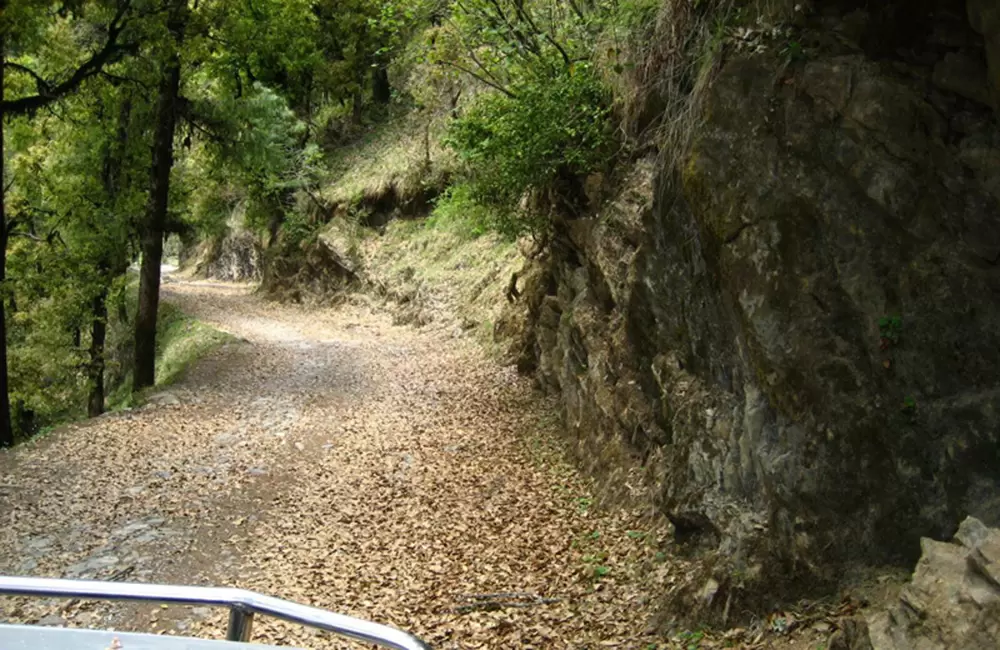 Road in Deoban. Pic: Pic By: Nitin Pandey (Pandeyji.com)