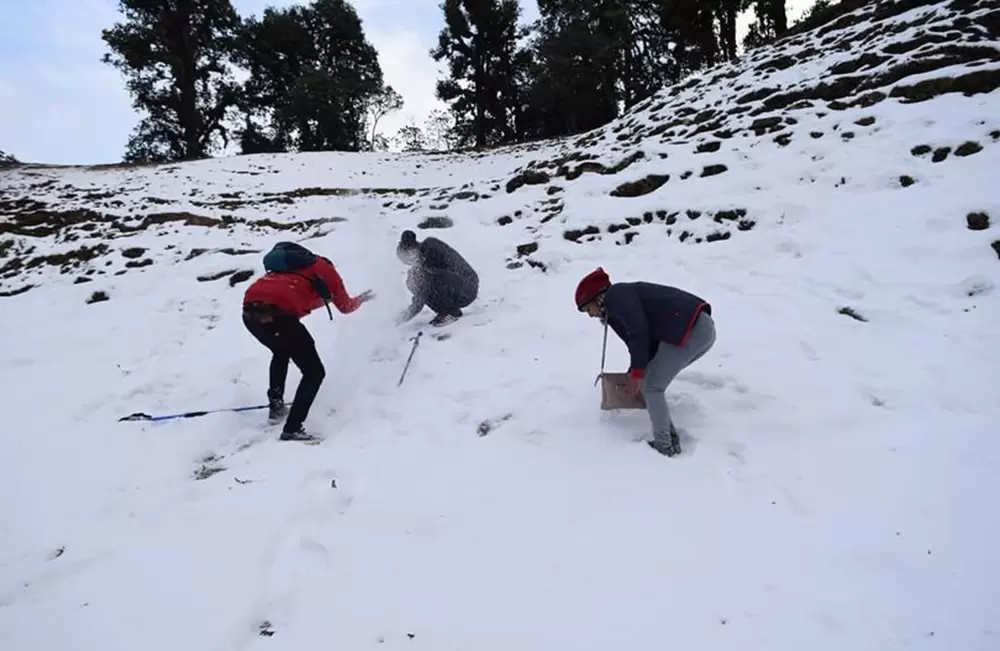 Dhakuri During Snowfall. Pic: Deepak Baffila