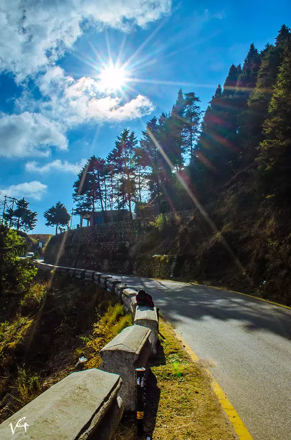 Beautiful roads in Dhanaulti.. Pic: Vasireddy Gowtham 