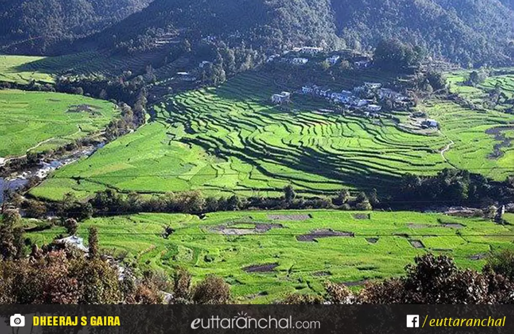 A beautiful view of village Dhaule(Didihat), Pithoragarh.. Pic: Dheeraj S Gaira (Facebook)