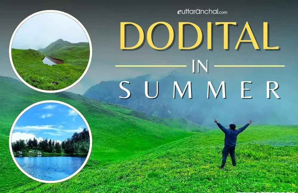 Dodital in Summers