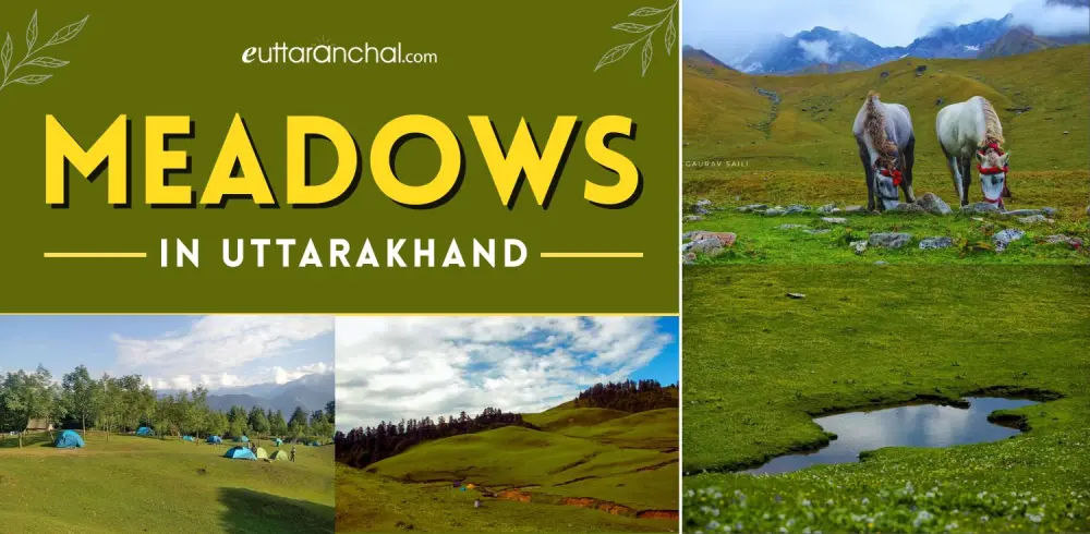 Meadows in Uttarakhand