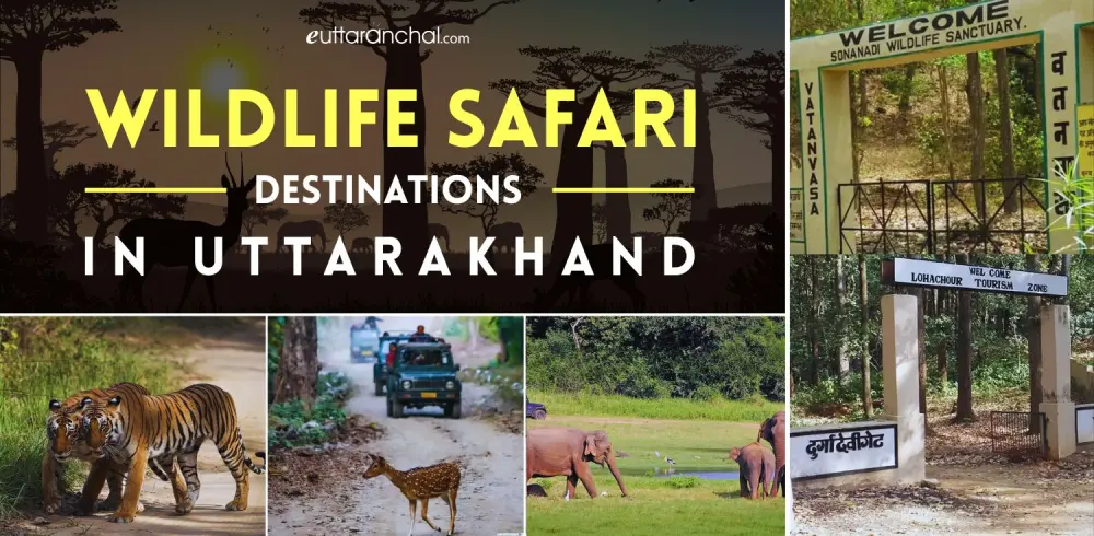 Safari Destinations in Uttarakhand