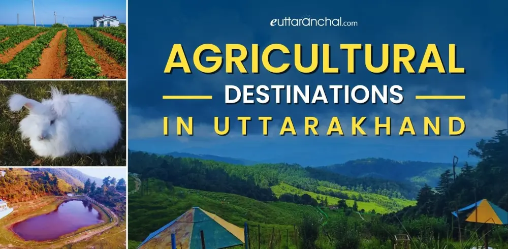 Agriculture in Uttarakhand