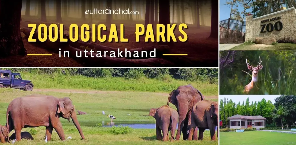 Zoological Parks in Uttarakhand