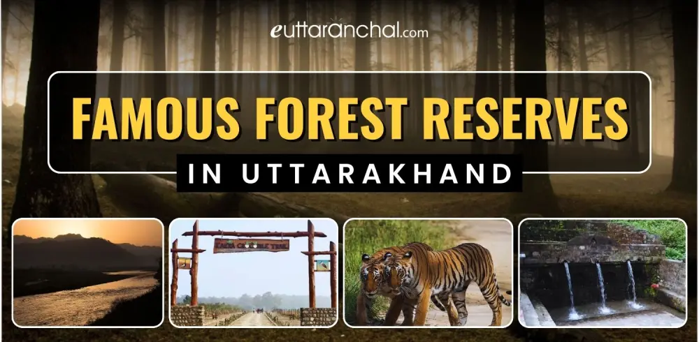 Famous Forest Reserves in Uttarakhand