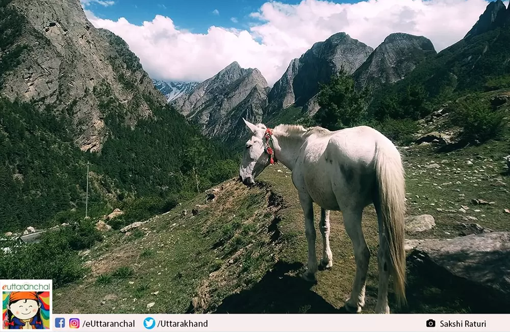 On the Way to Gamshali. Pic: Sakshi Raturi