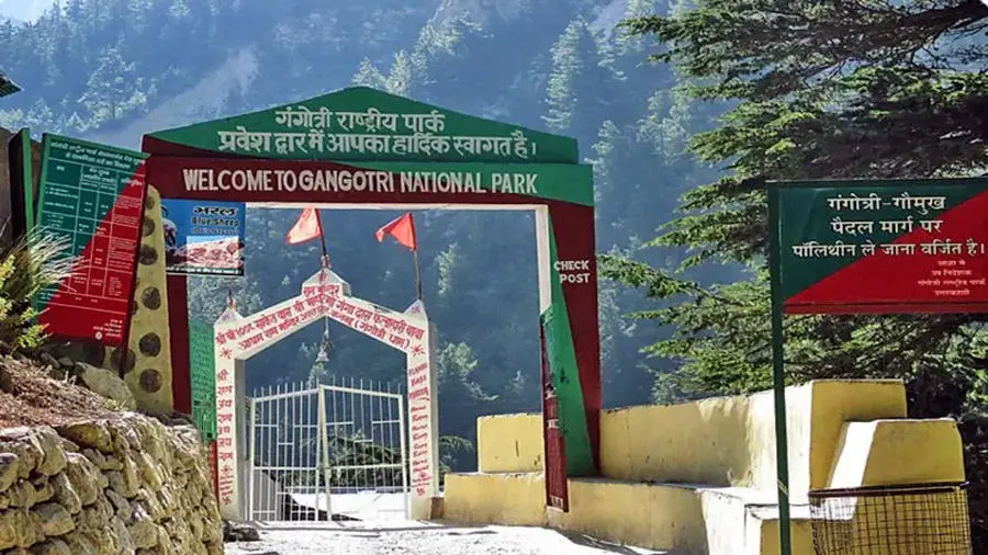 Gangotri National Park. Pic: 