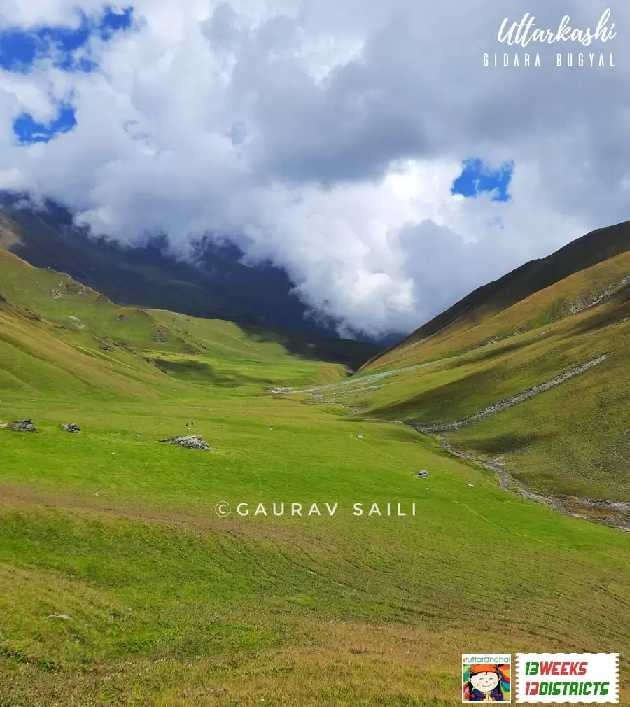 Lush green meadows of Gidara. Pic: Gaurav Saili