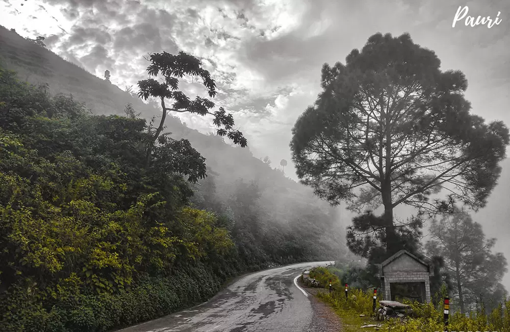 Gumkhal. Pic: Kulbhusan Negi