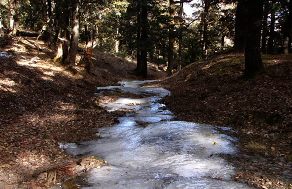 Frozen Stream of water in Jungle (trek towards Gurson). Pic: euttaranchal.com