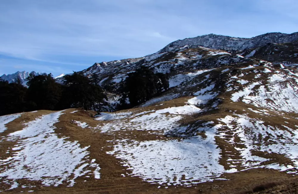 Full picture of Gurson Bugyal. Pic: euttaranchal.com