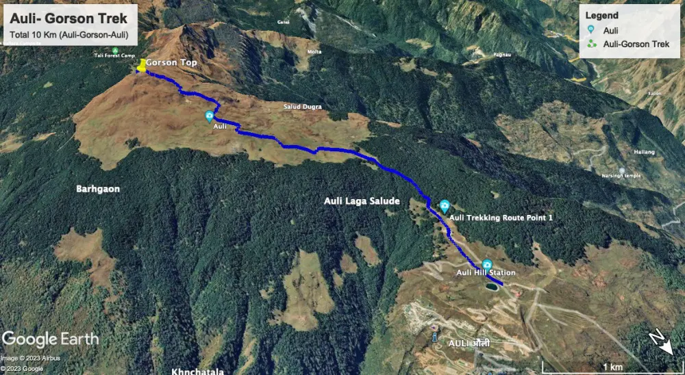 Auli Gorson Bugyal Trek. Pic: Google Earth