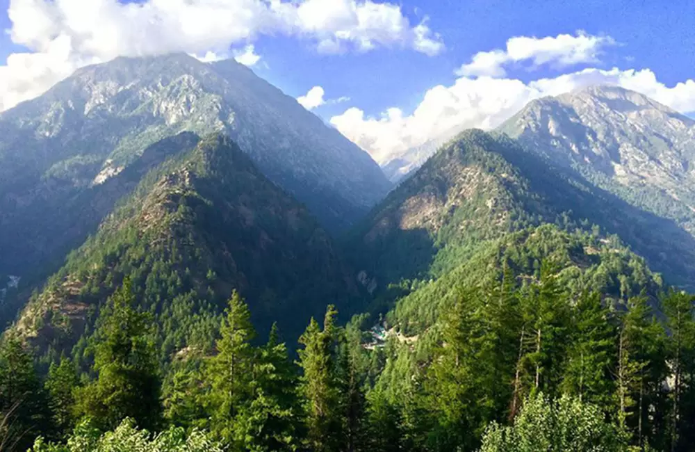 Dense green forest of Harsil valley.. Pic: Ayushmaan