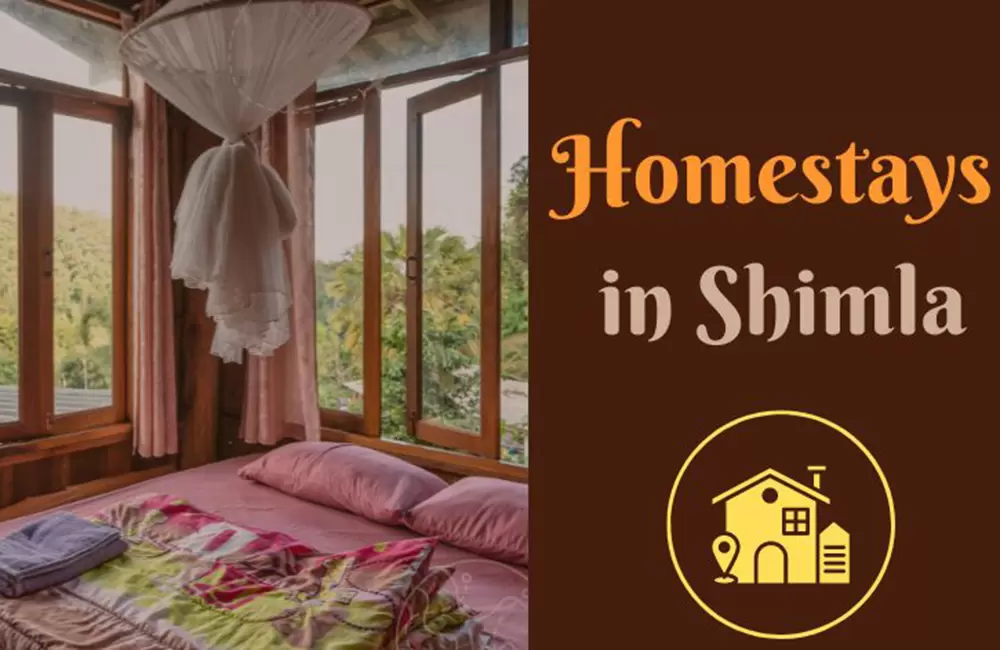 Homestays in Shimla