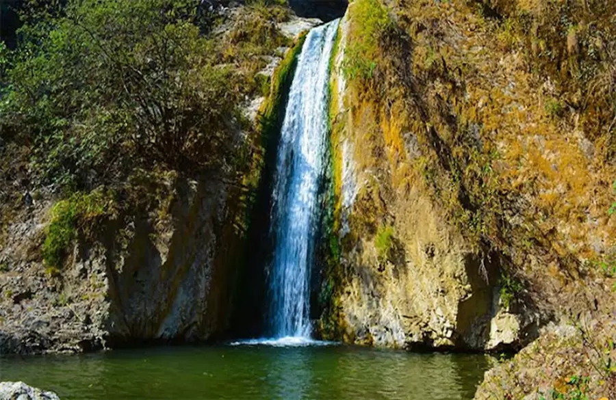 Jharipani Fall. Pic: Surendra Singh