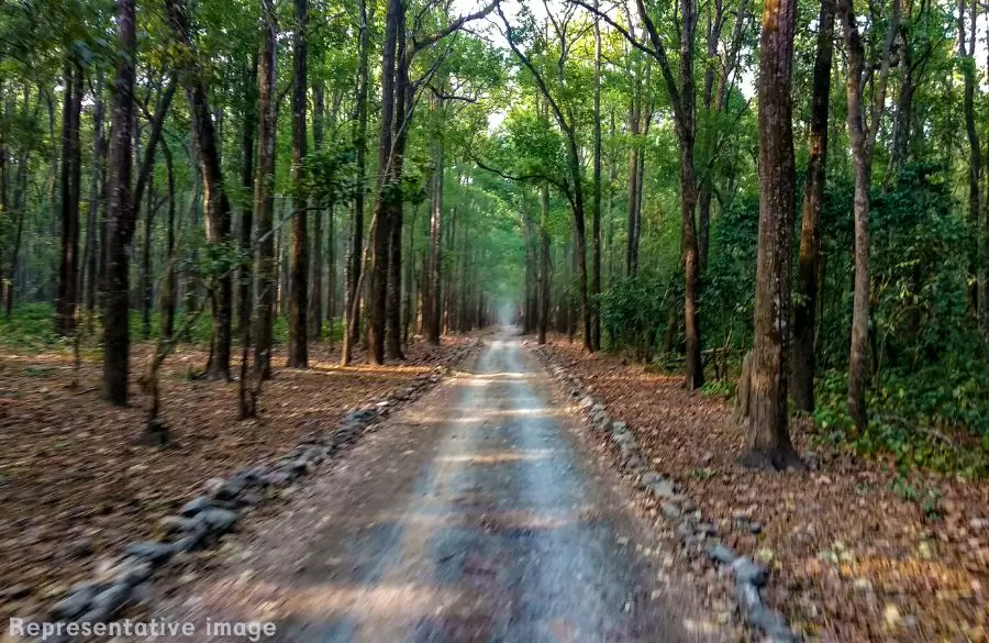 Jhirna Gate. Pic: 