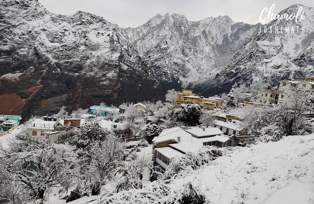 Joshimath after snowfall. Pic: Lokesh Chandra