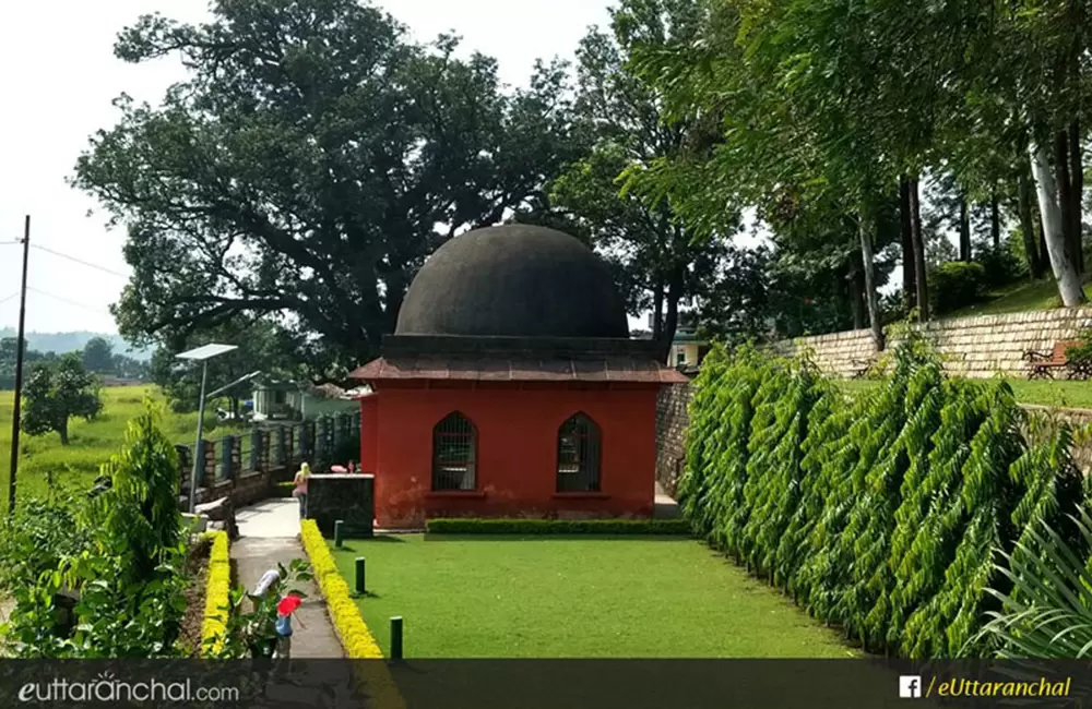 ASI protected Ashoka's Rock Edict at Kalsi, near Dehradun. Pic: 