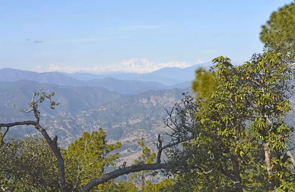 Valley and Himalayan views from Kasar Devi Temple. Pic: 