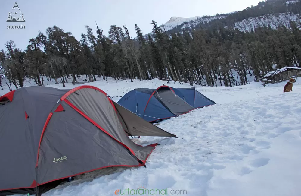 Camping in Kedarkantha. Pic: 