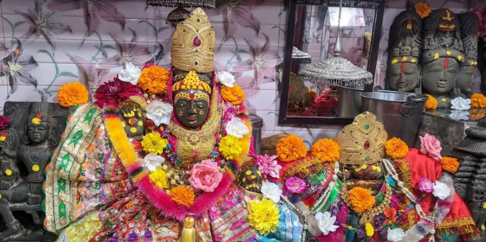 Idols in Kot Bhramari Temple. Pic: 