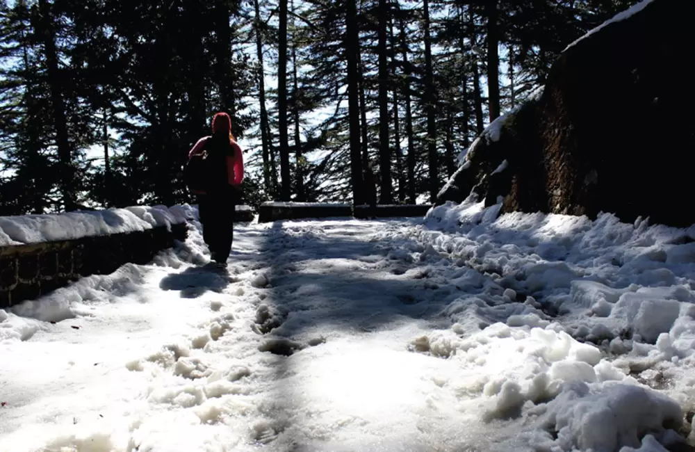 Roads in Lal Tibba Mussoorie after snowfall.. Pic: Rajatbartwal 