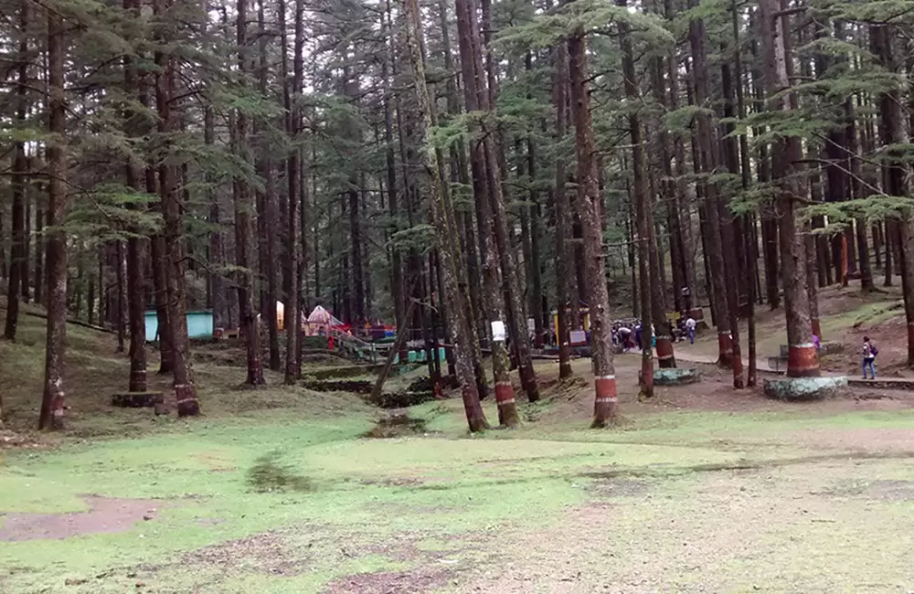 Taadkeshwar Temple â€“ a very silent holy place and peaceful too, located near Lansdowne.. Pic: Sanjaybadola