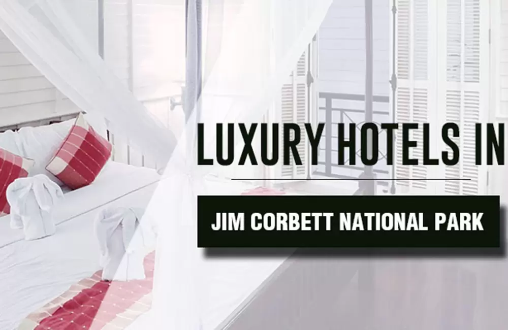 Luxury Hotels in Jim Corbett National Park