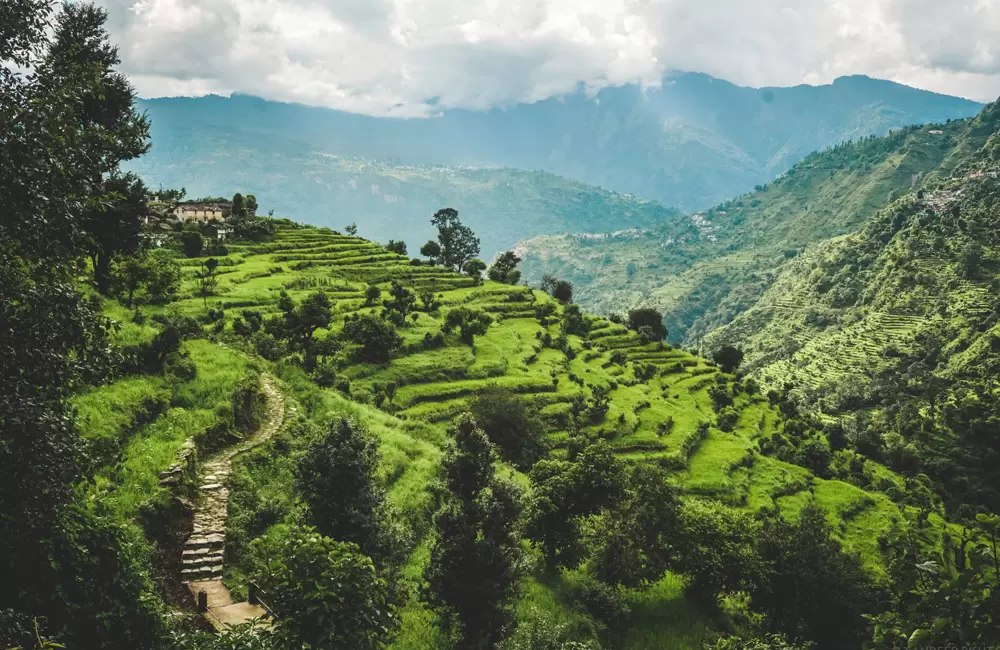 Terrace Fields before reaching Makkumath. Pic: PC: Sandeep Bisht for eUttaranchal