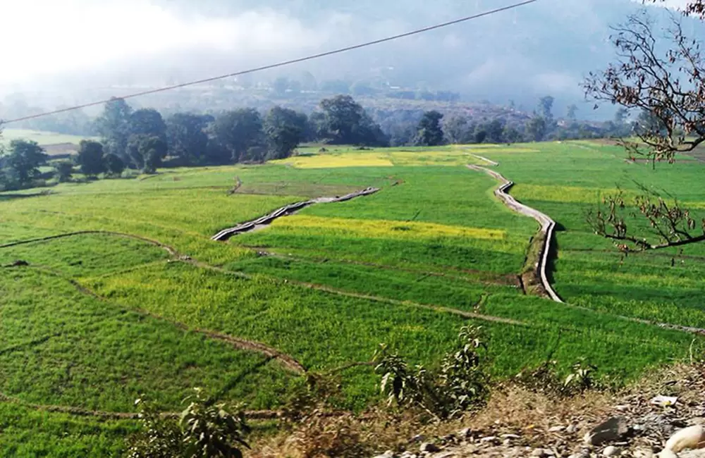 Road side fields in village Maletha of Uttarakhand. (Near Srinagar).. Pic: eUttaranchal.com