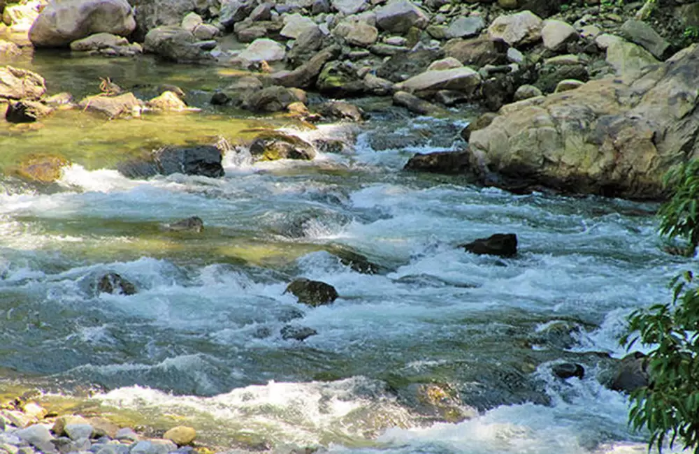 River in Mohanhchatti. Pic: 